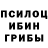 Псилоцибиновые грибы Cubensis Bykasov Kirov