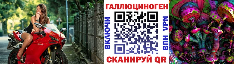 Галлюциногенные грибы Psilocybine cubensis  Красный Кут 